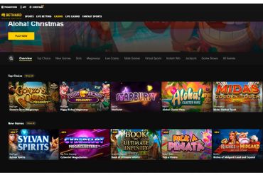 Bethard Casino - Liste der Spielautomaten | lebensgrosse-figuren.de