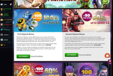 Playamo Kasino - Liste der Aktionen.