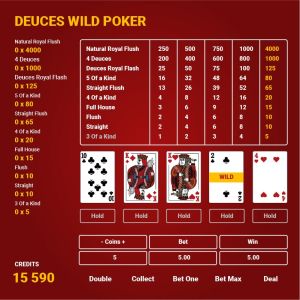 Die wichtigsten Funktionen von Video Poker verstehen