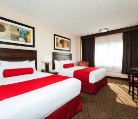 Jahrhundert Kasino Image 1