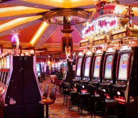 Reines Kasino Yellowhead Image 1