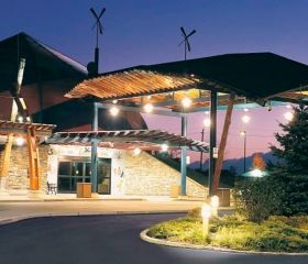 Großer blauer Reiher Kasino Image 1