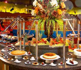 Großer blauer Reiher Kasino Image 1