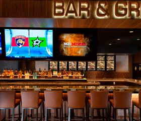 Goldenes Pferd Kasino Image 1