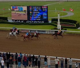 Ajax Downs Kasino & Rennstrecke Bild 1