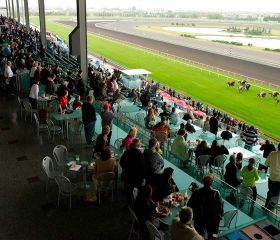 Kasino Woodbine Bild 1