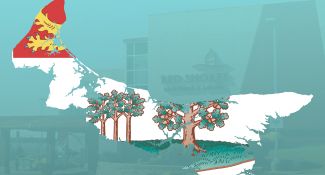 Hotelangebote in Prinz-Eduard-Insel