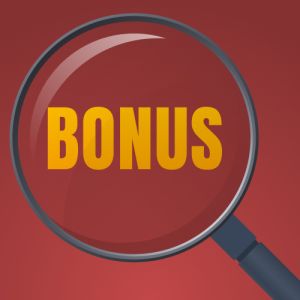 Der Bonussucher