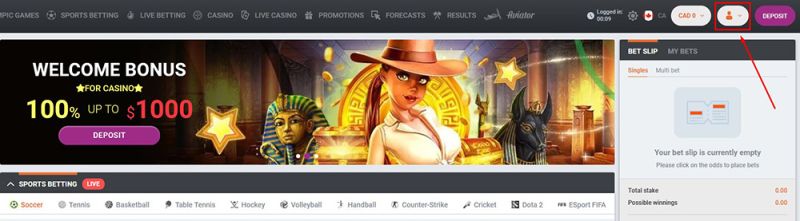 Eine Einzahlung tätigen