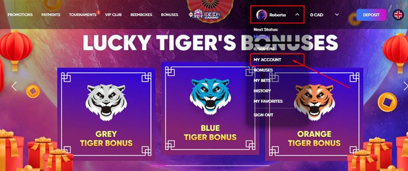 Kontoeinstellungen im Casino