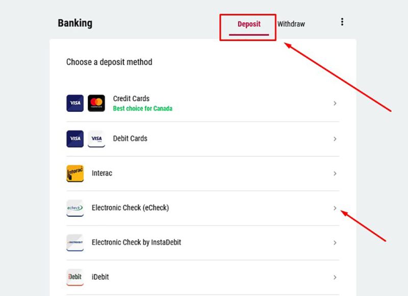 eCheck Zahlungsmethode