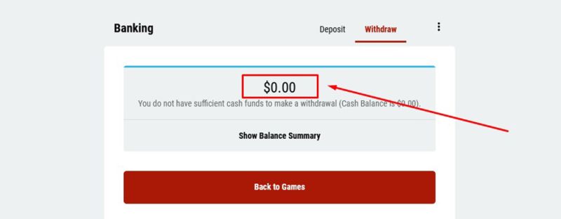 Mit iDebit auszahlen