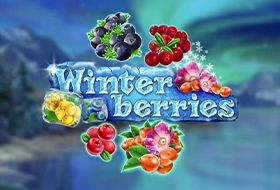 Winterbeeren