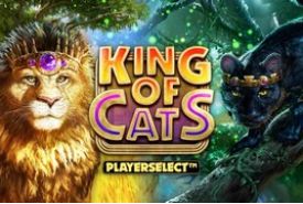 König der Katzen Bewertung