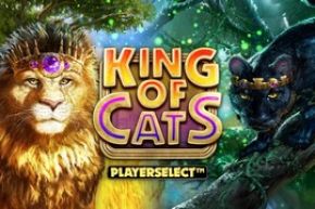 KoМ€nig der Katzen Slots