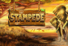 Stampede-Rezension