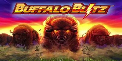 Buffalo Blitz