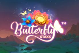 Butterfly Staxx Bewertung