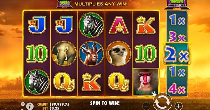 Spielen Sie jetzt den Hot Safari Slot Online von Pragmatic Play kostenlos | Casino Deutschland