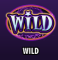 Wildes Symbol