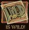 Wildes Symbol