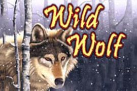 Wilder Wolf