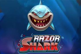 Razor Shark Bewertung