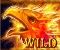 Wild